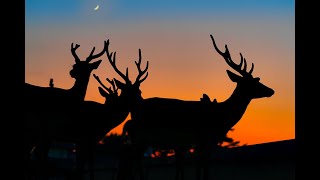 [수강생 공개 영상] 사진을 달라지게 하는 후보정의 비밀 1-2 1부