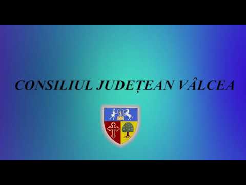 Bilant Costi Radulescu - presedinte CJ Valcea