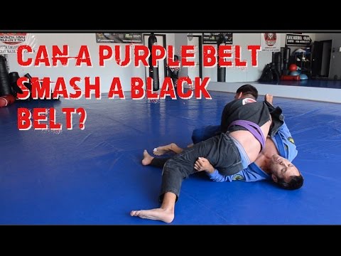 Can a 29 year-old Jiu Jitsu Purple Belt Smash an Old Man Black Belt??