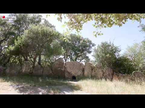 Zanetti Marco VS Sciacca Emilio - Campionati Italiani Carambola 2021/2022 - Calangianus - FIN 1° CAT