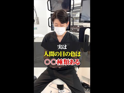 ベリシ目について詳しく解説