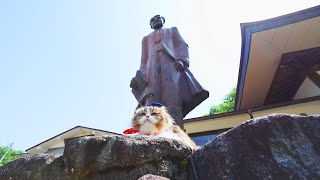 #68 お邪魔するにゃ!「ふにゃ~り日和」