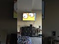 Opening To Arthur Goes On A Field Trip 2002 VHS