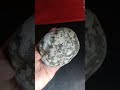 Tektite Stone