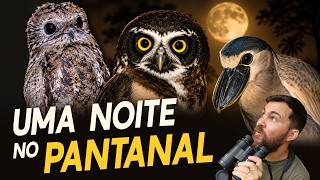 Miniatura do vídeo