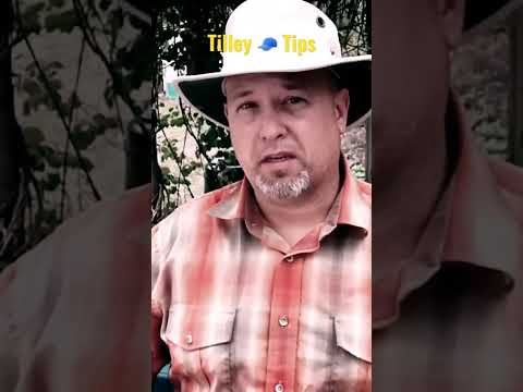 Algumas dicas na hora de comprar seu chapéu Tilley