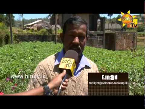 Hiru TV