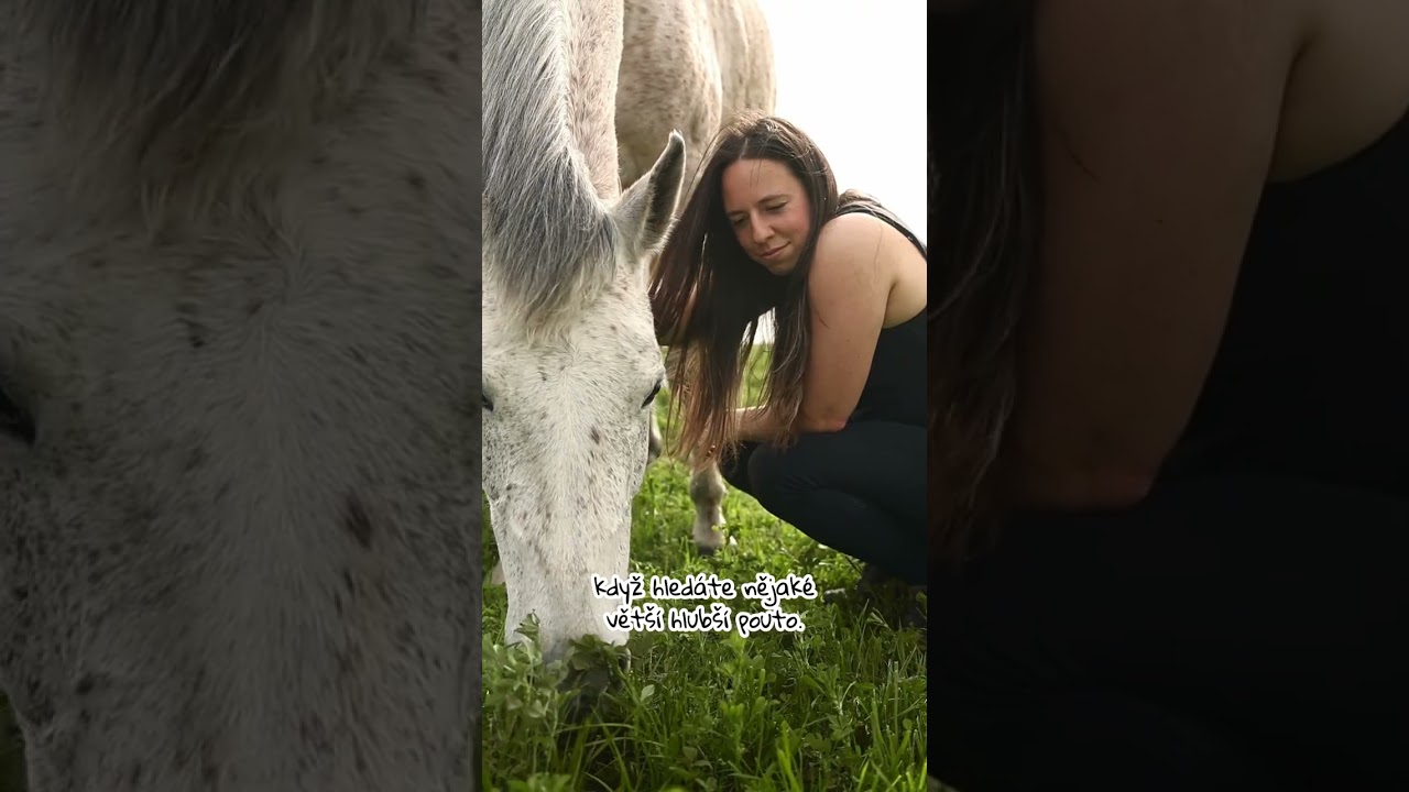 Jak docílit absolutního propojení a souznění s koněm?