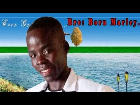 Janywoli Ki Wili - Born Marley