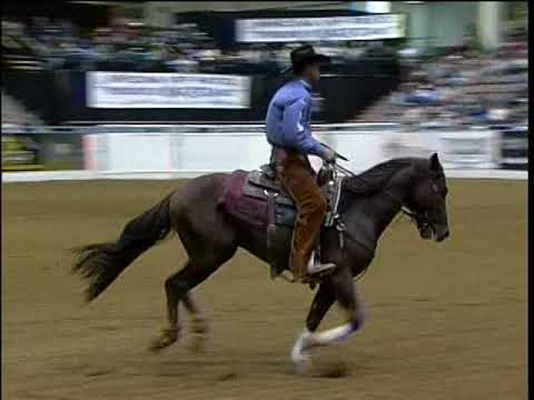 Playin Attraction - 2005 NRCHA Snaffle Bit Futurity