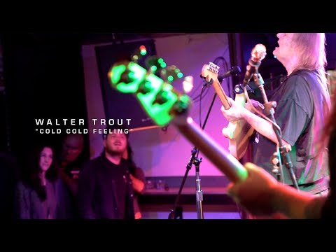 WALTER TROUT - "Cold Cold Feeling" - Down and Dirty Blues - Moe's Alley 5/19/18