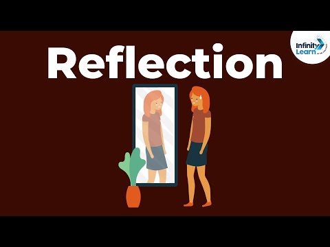 Reflection of Light | Don't Memorise