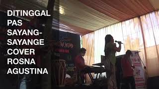 Download lagu Ditinggal Pas Sayang Sayange Cover Rosna Agustina... mp3