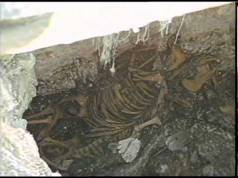 ARCHAEOCOGY. - North Downs, Kent.