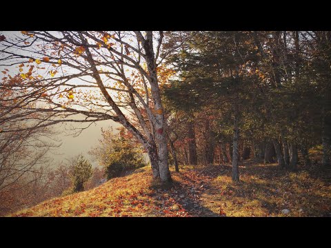 Jura-Höhenweg 9. Etappe: Vue-des-Alpes - Noiraigue