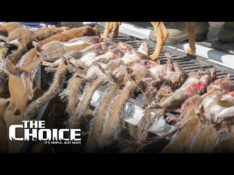 Gamo Squirrel Master Classic 2023 | The Choice - Season 18