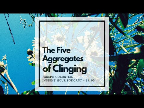 Joseph Goldstein – Insight Hour – Ep. 96 – The Five Aggregates of Clinging