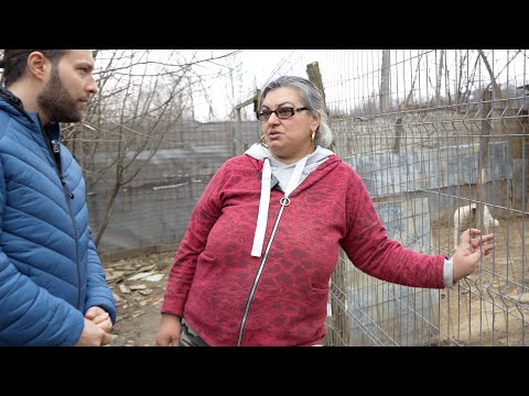 Ramona și adăpostul de câini din Poiana Copăceni: “Crochetele ne mai ajung doar câteva zile…”
