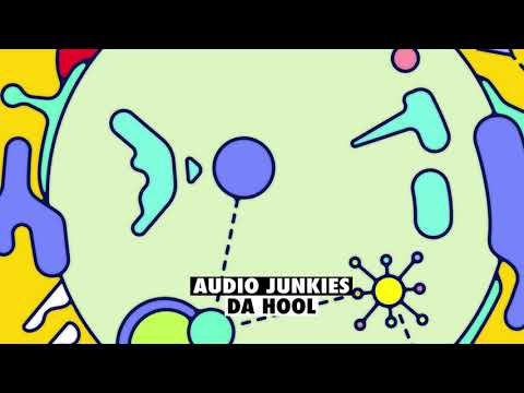 Audio Junkies - Da-Hool