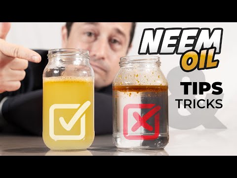 How to Apply Neem Oil for Plants - Application Tips and Ticks | Organic Pesticides That Work!