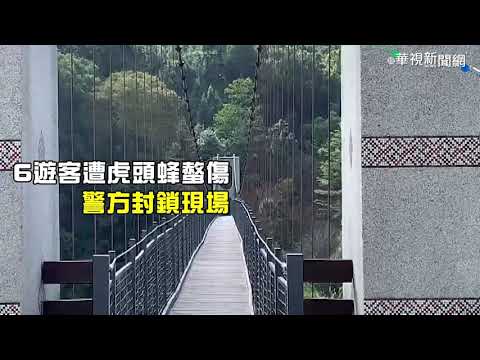 苗栗東河吊橋6遊客遭虎頭蜂螫傷 警封鎖現場