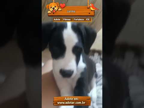 Vídeo de Lunna