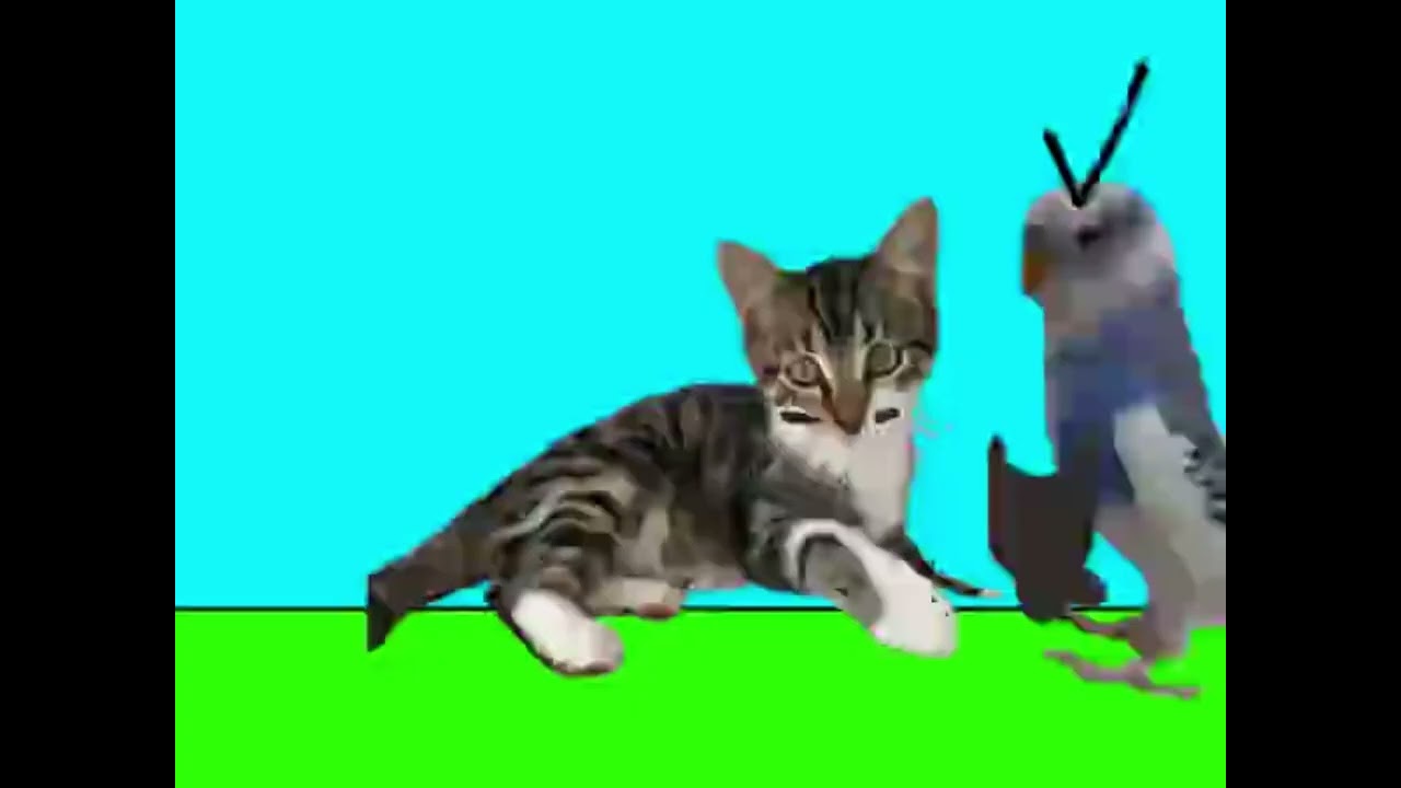 Weird scratch glitch happened to my project