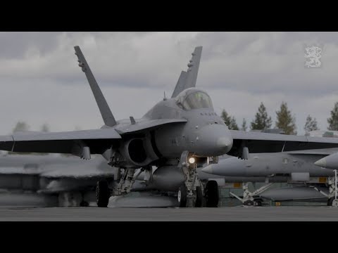 ACE 19  - Working Together