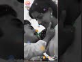 Ithaya Kovil Ithayam Oru Kovil Song