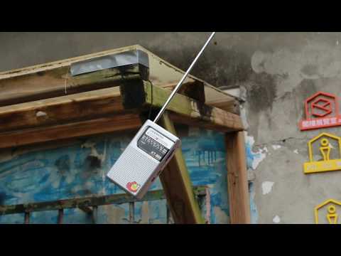 Datscha Radio: Gartenradio live aus Taipei