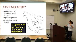 Fungi Spread & Diagnosis