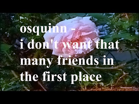 osquinn (p4rkr) - i dont want that many friends in the first place