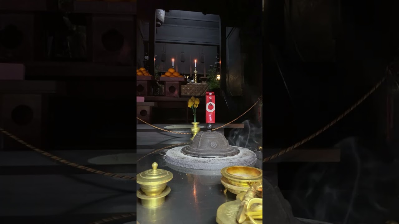 歌は恥ずかしいのに、セーラー服と機関銃のところだった～《YouTubeが自動作成》LIVEハイライト◇YouTubeさん作ってくれてありがとう🙇せっかくなので公開致します #shorts