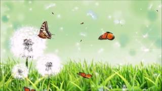 Top 30 Christian Songs 2017