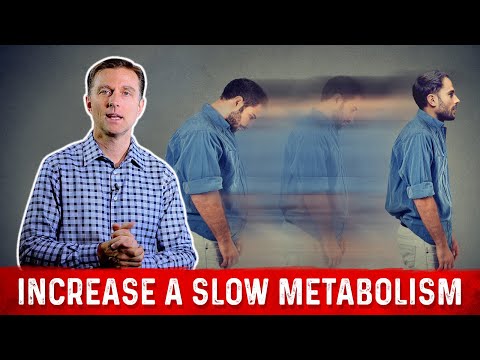 Slow Metabolism: 4 Ways To Increase Your Metabolism – Dr. Berg