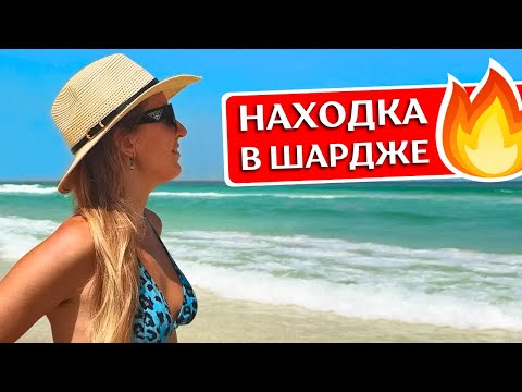 SHARJAH: rest at NOVOTEL Sharjah Expo Center 4* - hotel review, UAE 2024