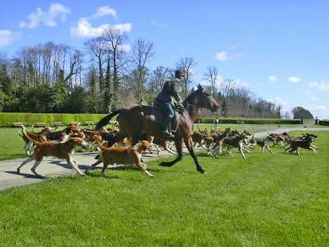 Karl Komzak Enkel - Freiwild, Walzer, Op.310