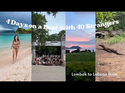Komodo Island 4-Day Boat Tour🐉 | What I Wish I Would've Known.