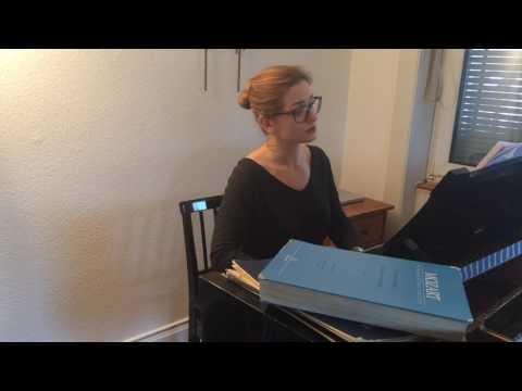 "Der Vogelfänger" Papageno - Zauberflöte - Accompaniment