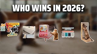The Top 5 Best Cat Scratcher in 2026 - Must Watch Before Buy