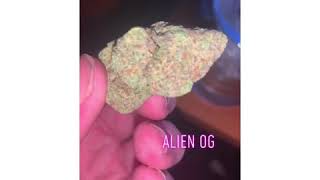 Alien OG strain ⛽️ 🔥
