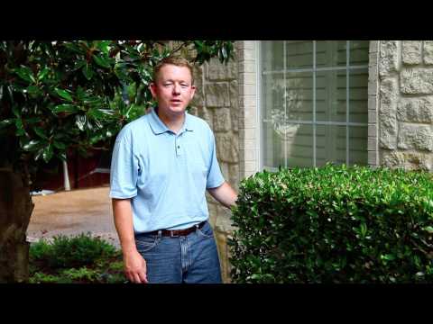 download lagu mp3 mp4 Ninebark Companion Plants, download lagu Ninebark Companion Plants gratis, unduh video klip Ninebark Companion Plants