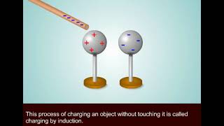 Charging Objects and Conservation of Electric Charge 8