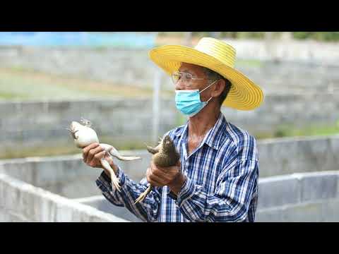 รักษ์ผืนดิน ถิ่น ส.ป.ก. ปี ๓ : (๗) ต้นแบบสวนเกษตรผสมผสาน สู่ความมั่นคงยั่งยืน บนผืนแผ่นดิน ส.ป.ก.