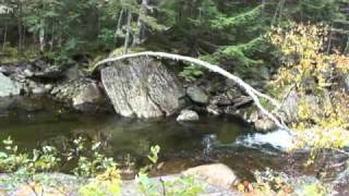 preview picture of video 'Atlas the Pomeranian Hiking in the White Mountains: by Bruce Andrew Peters'