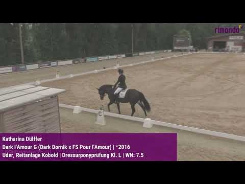 Qualifikation zum Bundeschampionat der 5+6-jährigen Dressurponys in Uder 2021