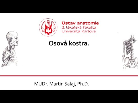 Osová kostra Salaj 2 11 2020