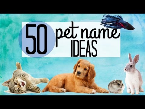 download lagu mp3 mp4 S Pet Names, download lagu S Pet Names gratis, unduh video klip S Pet Names