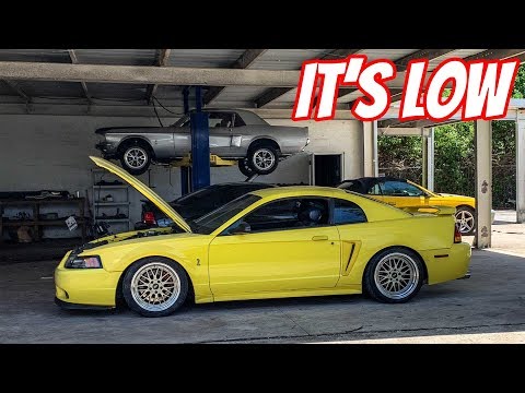 Slamming My Cobra on BC Coils