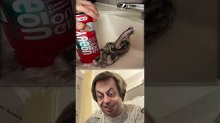 DIRTY Little Secret to Cleaning Your Sink in 10 Seconds!